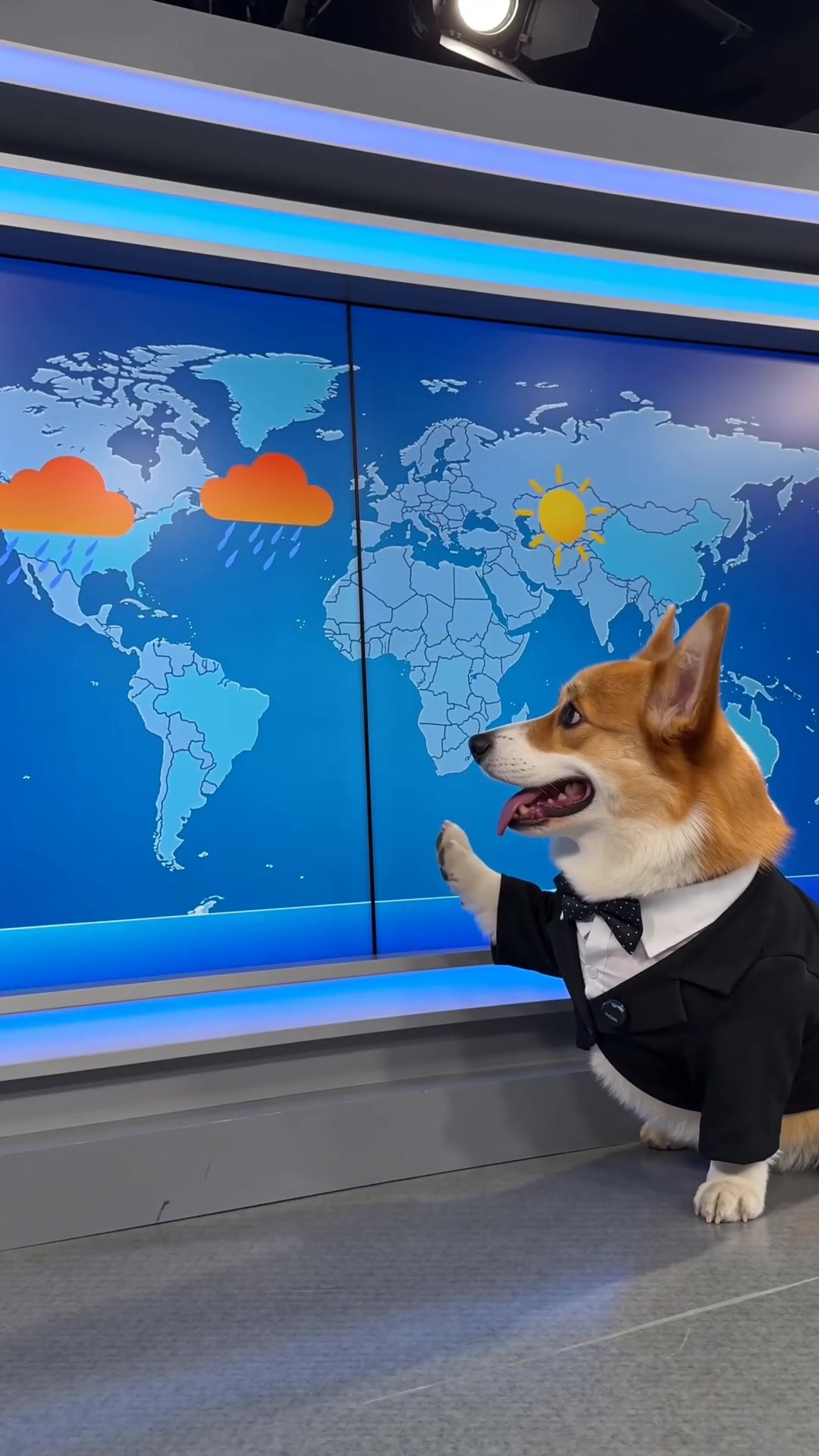 Weather Reporter